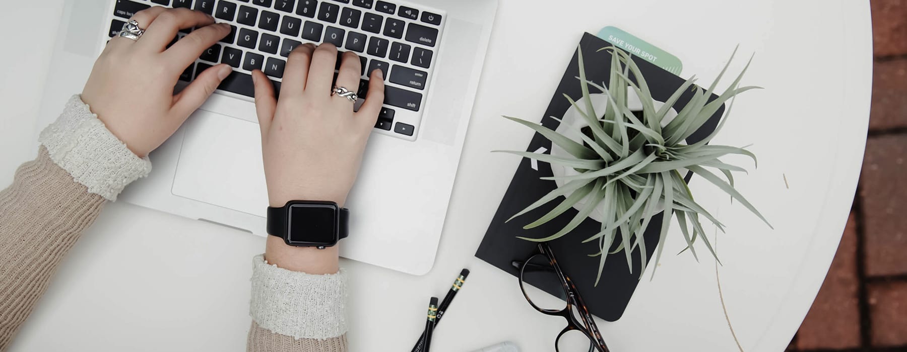 lifestyle image of young hands typing on a laptop beside a small plant